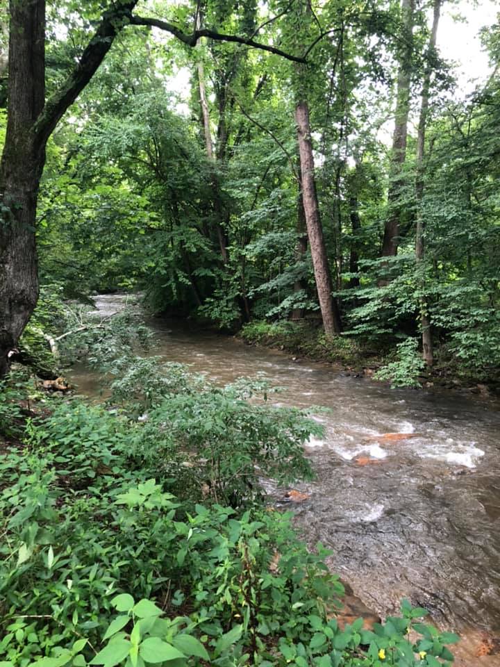 Loading Resort Image...